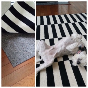 Ike from Decor and the Dog seems to the love the difference our rug pads make and Michelle loves that our rug pads can handle this active pup!
